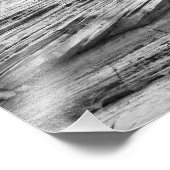 シオン国立公園盆栽ツリーブラックアンドホワイト フォトプリント (角)