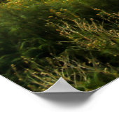 シオン国立公園 – ユタ ポスター (角)