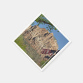 シオン国立公園Iのアメリカ国旗 スタンダードカクテルナプキン (角)