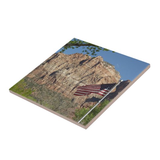 シオン国立公園Iのアメリカ国旗 タイル (側面)