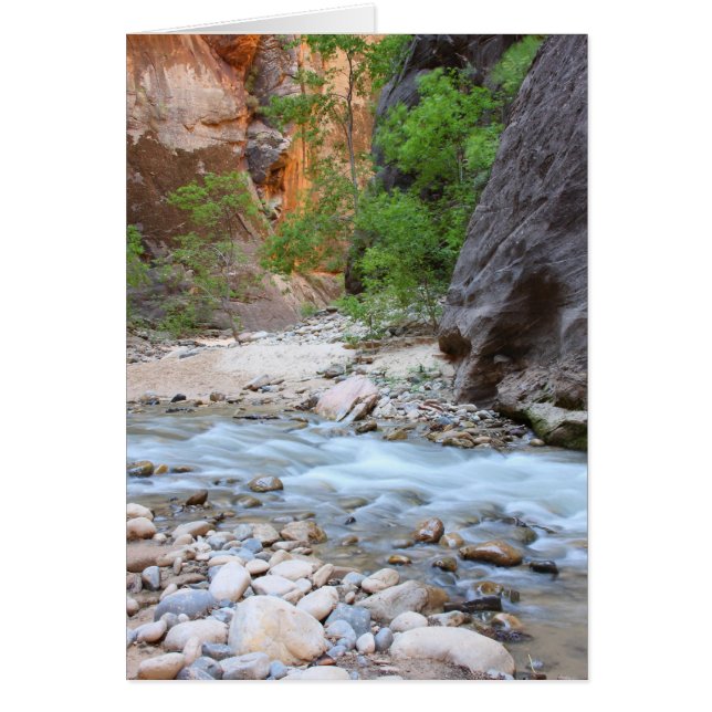 シオン狭い (正面)