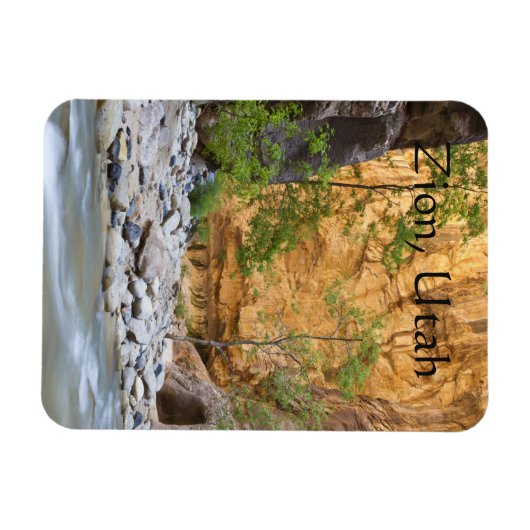 シオン狭い マグネット (横)