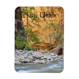 シオン狭い マグネット