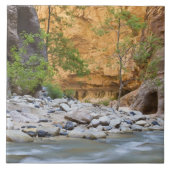 シオン・ナローズ タイル (正面)