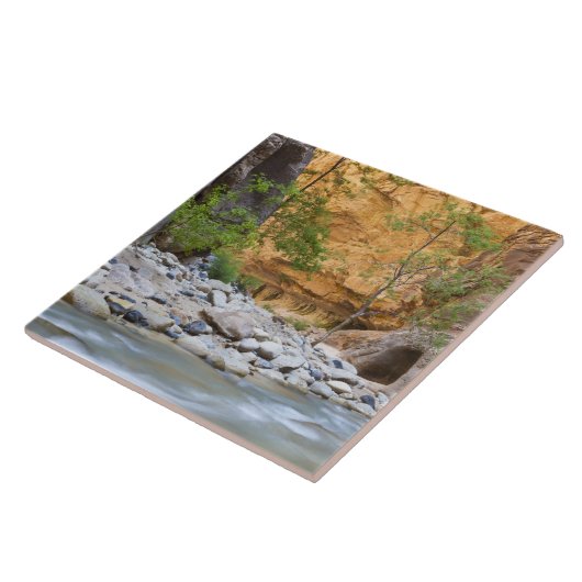 シオン・ナローズ タイル (側面)