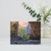 シオン・ナローズ ポストカード (スタンド正面)