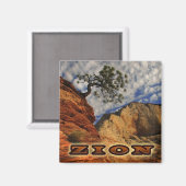 シオン・マグナテ マグネット (正面/裏面)