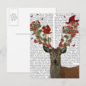 シカおよび愛鳥2 ポストカード (正面/裏面)