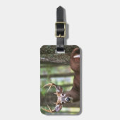 シカのバッグのラベルのハンターのバッグのラベル ラゲッジタグ (正面縦)