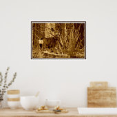 シカのラバ：シカ ポスター (キッチン)