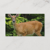 シカの名刺 名刺 (裏面)