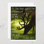 シカの招待状として 招待状 (正面/裏面)