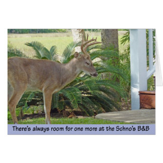 シカの接近階段