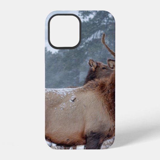 シカの群れ iPhoneケース (裏面)