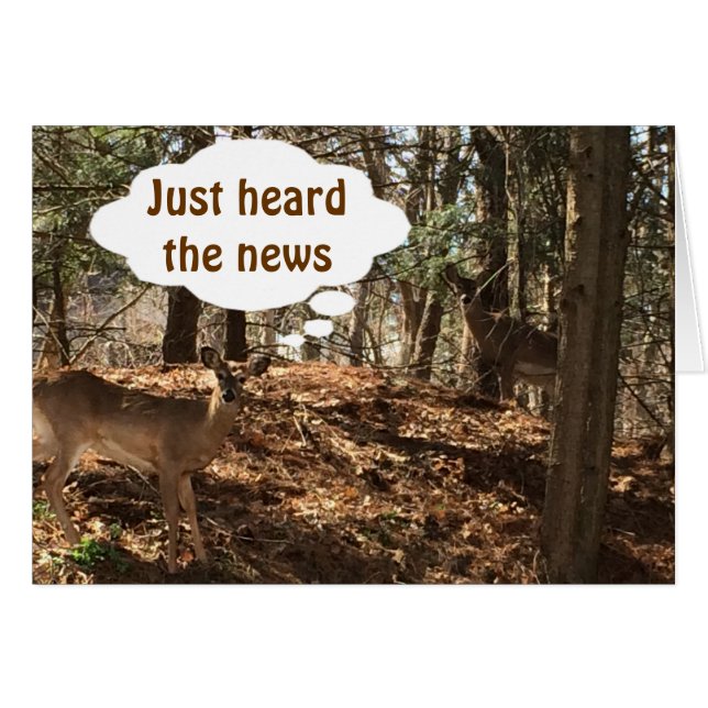 シカの話し相手は言う。「あなたは***21*** (正面横)