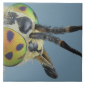 シカの頭部は飛びます タイル (正面)