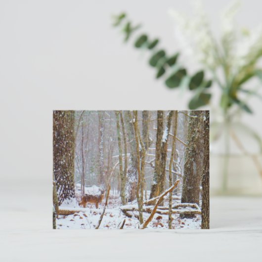 シカは湖の矢印の雪の中で ポストカード (スタンド正面)