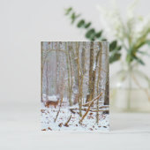 シカは湖の矢印の雪の中で ポストカード (スタンド正面)