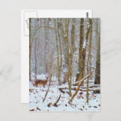 シカは湖の矢印の雪の中で ポストカード (正面/裏面)