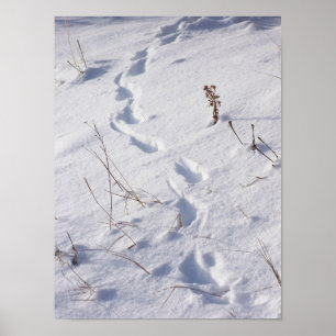 シカは雪ポスターを印刷します ポスター