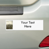 シカゴのスカイライン バンパーステッカー (車上)