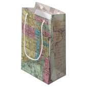 シカゴの地図 スモールペーパーバッグ (正面アングル)