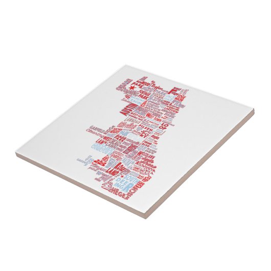 シカゴの近隣の地図 タイル (側面)