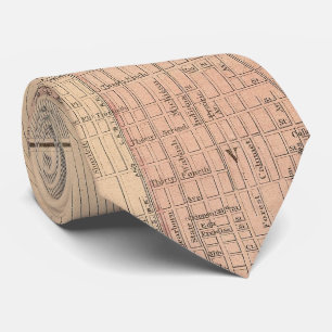 シカゴイリノイ(1876年)のヴィンテージの地図 ネクタイ