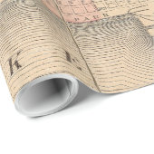 シカゴイリノイ(1876年)のヴィンテージの地図 ラッピングペーパー (ロールコーナー)