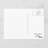 シカゴサンセット ポストカード (裏面)