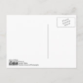 シカゴバッキンガムのグレースケールポストカード ポストカード (裏面)