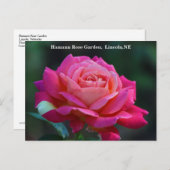 シカゴピースバラはがきHRG 500n 2014 ポストカード (正面/裏面)