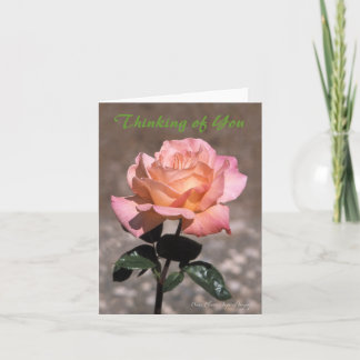 シカゴピースバラカード カード