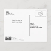 シカゴリバーアンドトランプタワーグレースケール ポストカード (裏面)