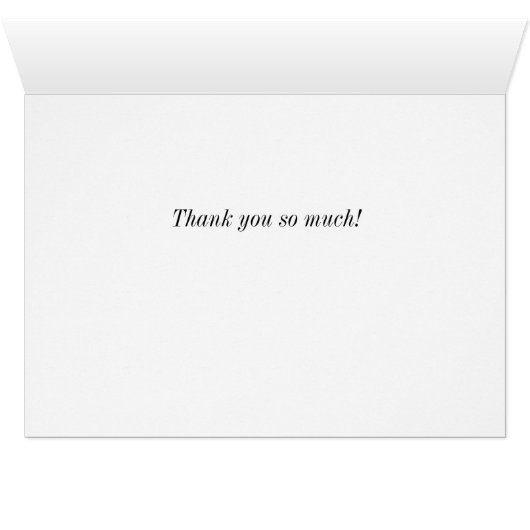 シカゴ上空の嵐のサンキューカード (内部横(下))