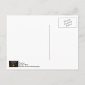 シカゴ川に落雷 ポストカード (裏面)