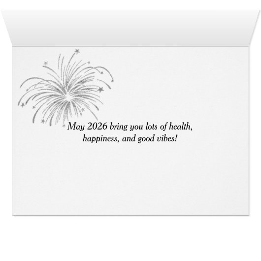 シカゴ市2026年新年の花火 (内部横(下))