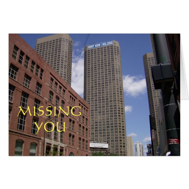 シカゴ恋しく思に居る君 (正面横)