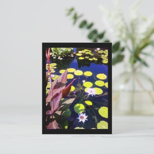 シカゴ植物園 ポストカード (スタンド正面)