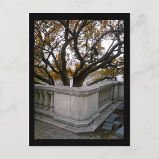 シカゴ水族館 :: 秋 ポストカード