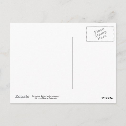 シカゴ海軍桟橋の観覧車の郵便はがき ポストカード (裏面)