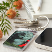 シカゴ芸術研究所の南ライオン キーホルダー (正面右)