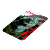 シカゴ芸術研究所の南ライオン マグネット (左側)