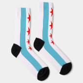 シカゴ（イリノイ州）市旗 ソックス (右)