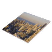 シカゴ、イリノイ、スカイライン、シアーズタワーから タイル (側面)