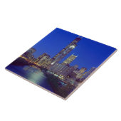 シカゴ、イリノイ、スカイライン、シカゴ タイル (側面)