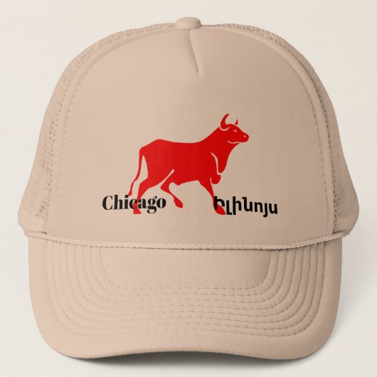 シカゴ イリノイ トラッカー ハット (正面)