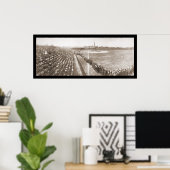 シカゴ・カブスの野球写真1904 ポスター (ホームオフィス)