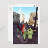 シカゴ・パレード・オブ・ウシ ポストカード (正面/裏面)