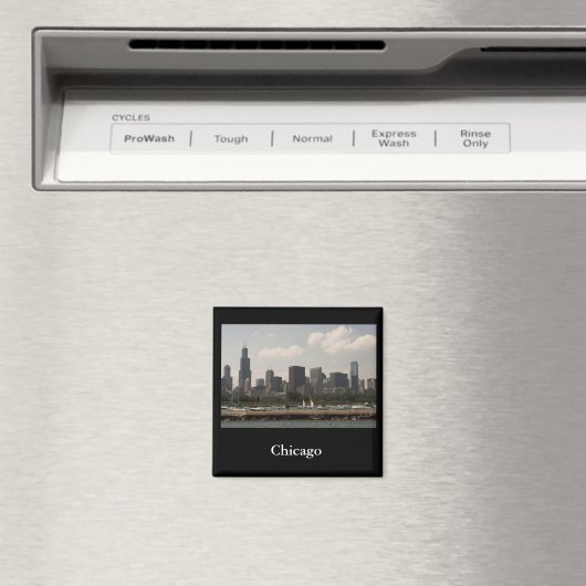 シカゴ マグネット (インサイチュ (食洗機))